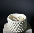 Lumen, 01